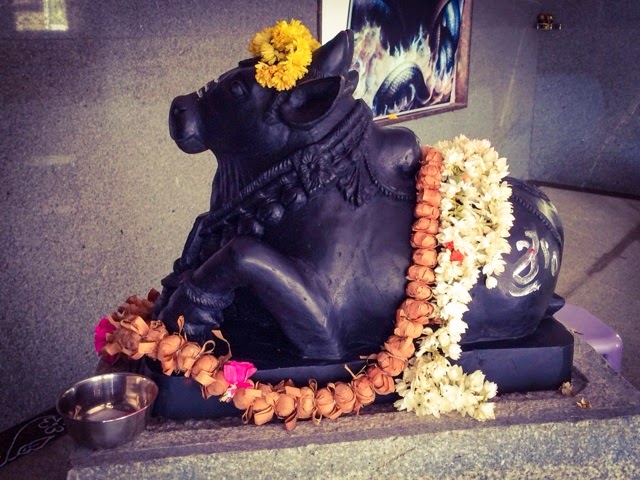 Nandi, Shiva's bull and vehicle