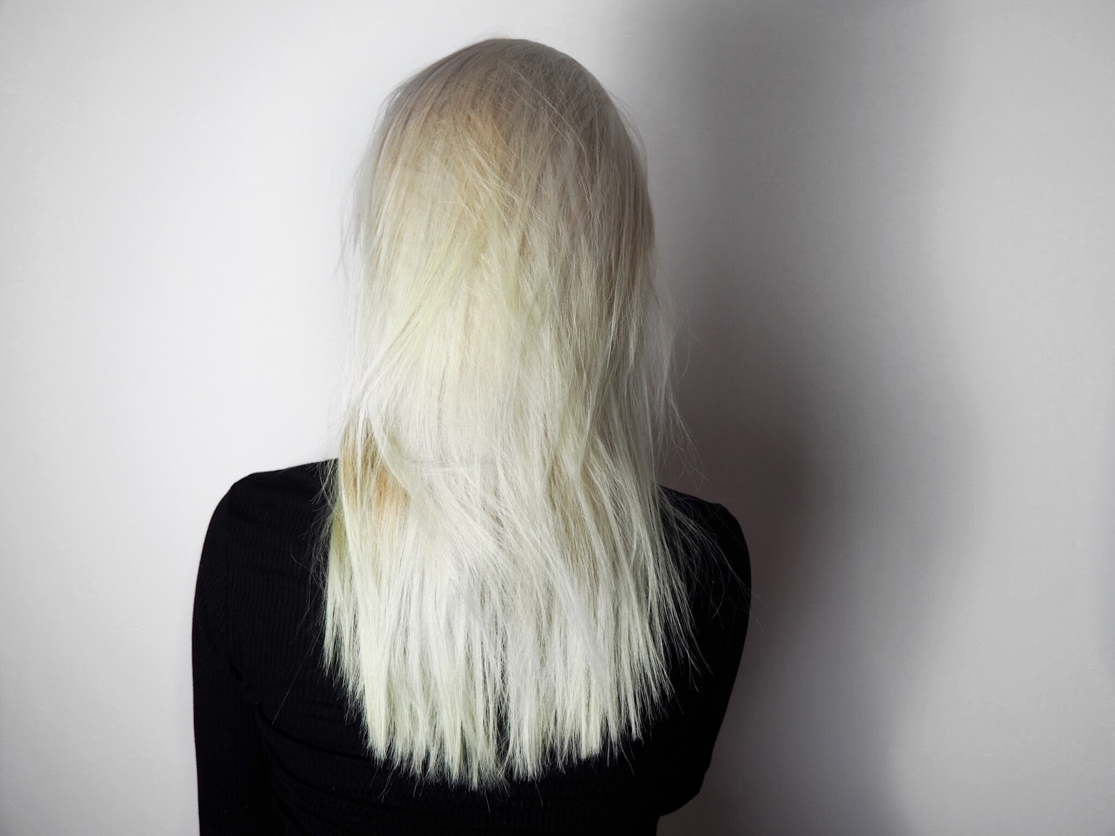 Bleach London White Toner and Silver Shampoo