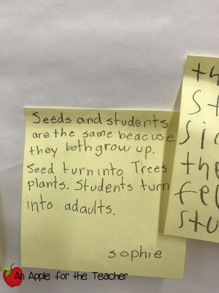 Miss Maple's Seeds Reading Activity Student Response 1