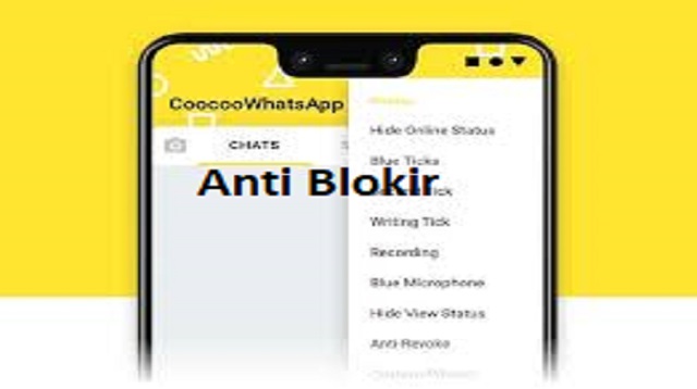 Aplikasi Mempercantik Video Call Whatsapp 2021 Cara1001