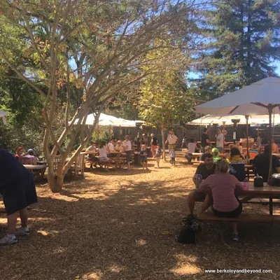 beer garden at Alpine Inn in Portola Valley, California