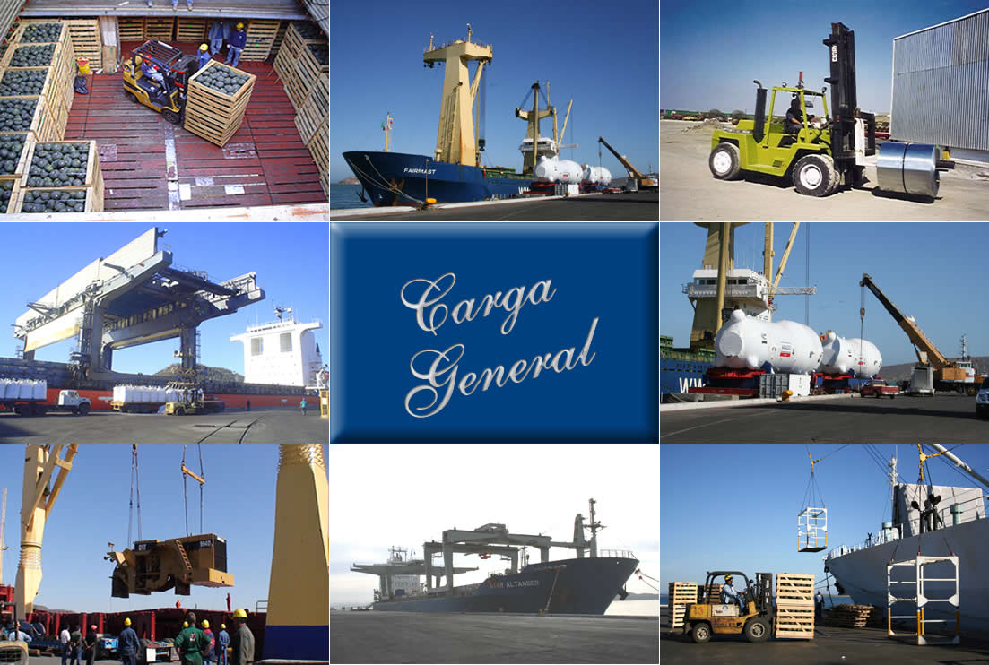 clasificacion de carga CARGA GENERAL