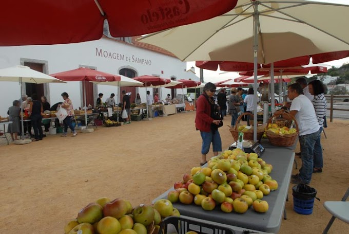 4ª MOSTRA DE MAÇA CAMOESA OU FÉRREA AZOIA