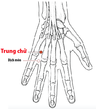 Vị trí huyệt trung chử
