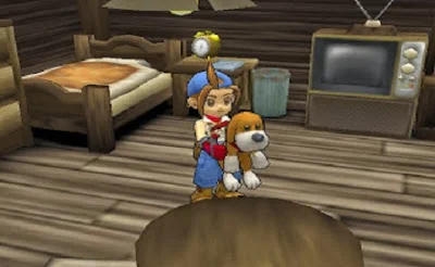 HM: STH How to Get a Dog