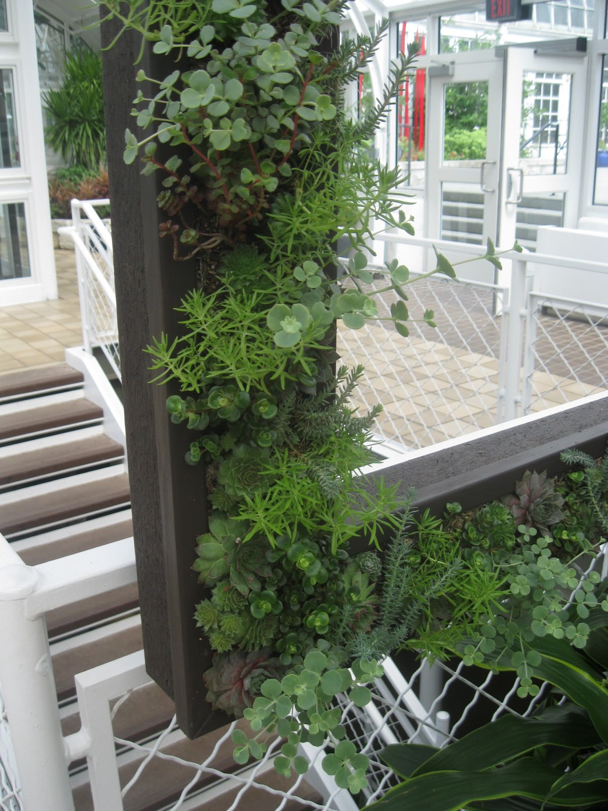 Whimsical Ways Living Frame