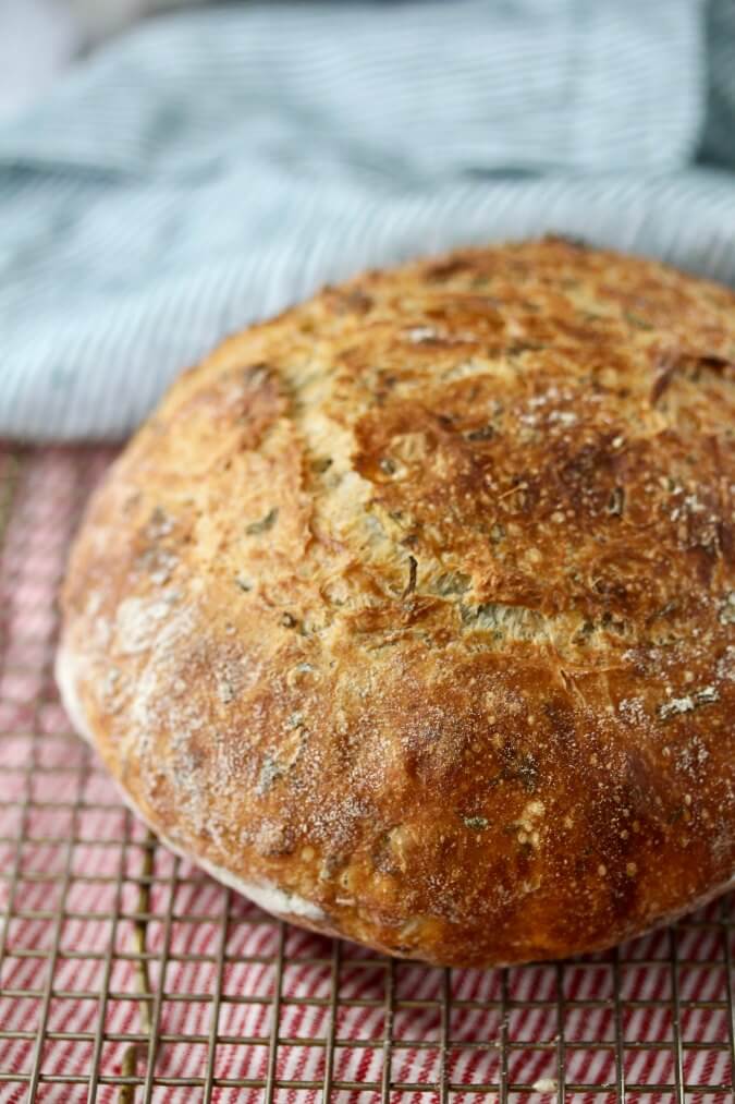 Clay Pot Bread Recipe (No Knead) - The Herbeevore