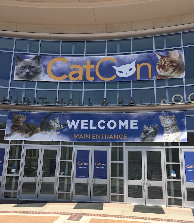 CatCon（キャットコン）