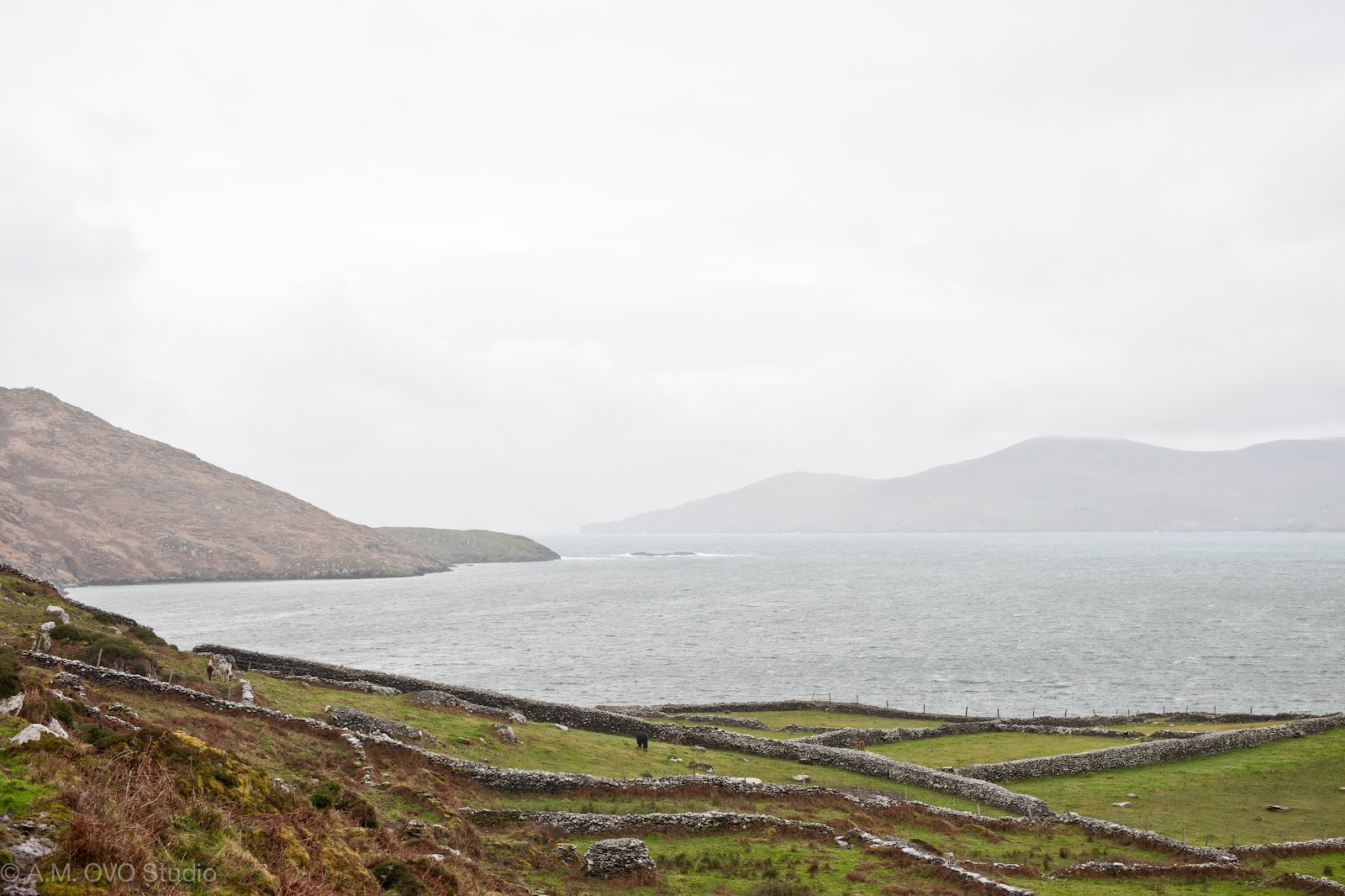 The Spotting Eye Rural Ireland Caherdaniel, Co. Kerry 2