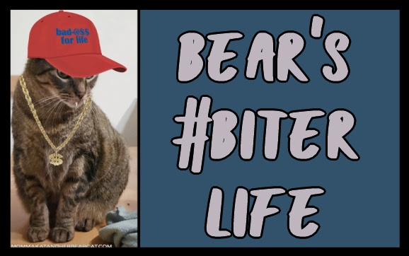 Bear's #BiterLife