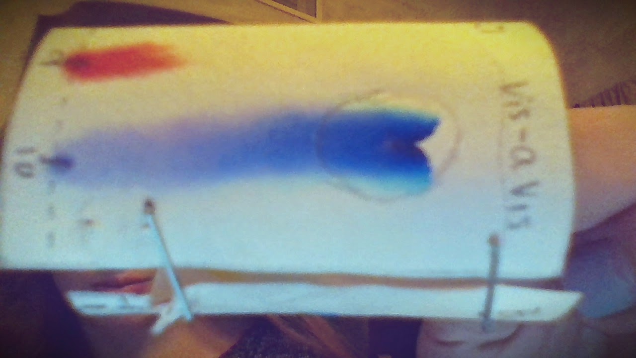 Becca AP Chem Chromatography Lab