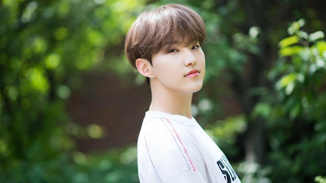 Dana Covid19 dari Hoshi Hoshi Seventeen