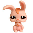 Littlest Pet Shop Multi Pack Rabbit (#1653) Pet Littlest Pet Shop Multi Pack Rabbit (#1653) Pet