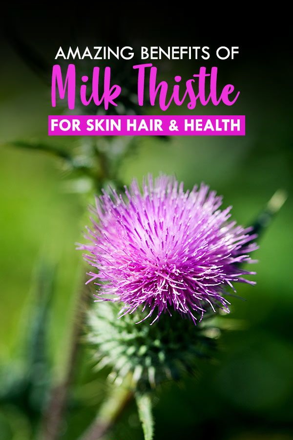 12 Amazing Health Benefits of Milk Thistle wellness magazine