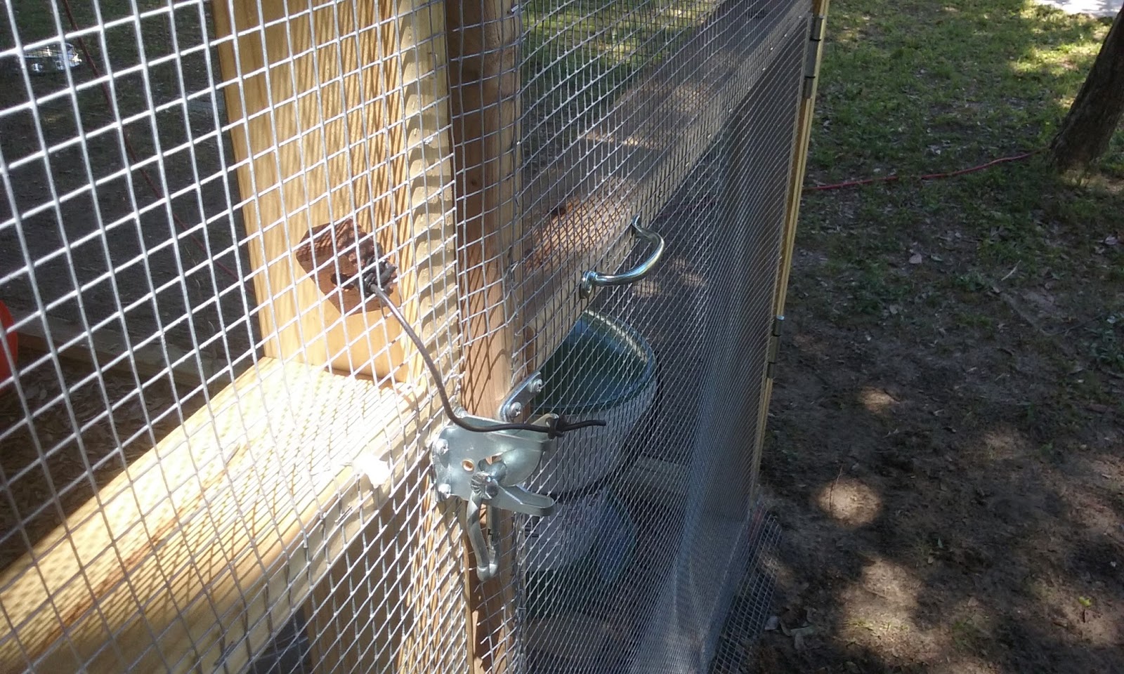 Skip The Bag Our DIY Chicken Coop
