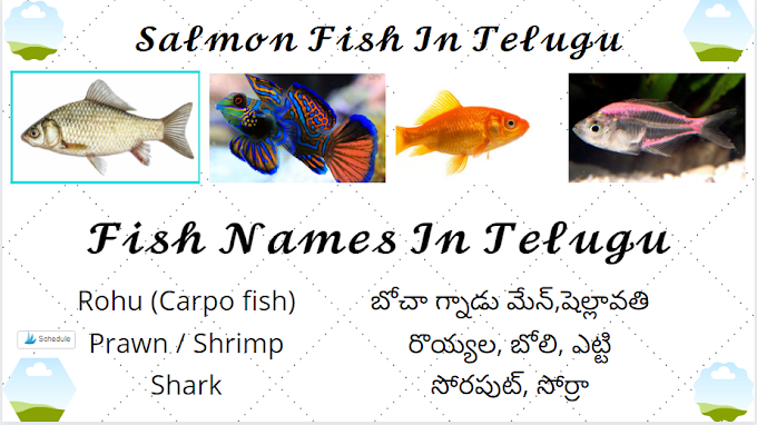 Fish Names In Telugu