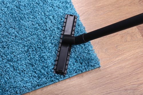 carpet cleanings companies 