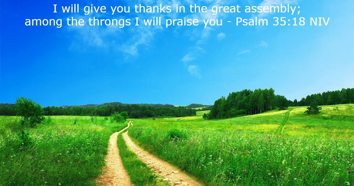 Verse Of The Day In English Psalm 35 18 NIV Verseofthedaybible verse-of-the-day-in-english-psalm-35-18-niv-verseofthedaybible