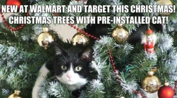 Christmas friends quotes wishes poems messages card merry funny cards housewarming verses friend naughty xmas text greeting nice friendship hubpages 14) Santa Claus wears a Red Suit, he must be a communist. And a beard