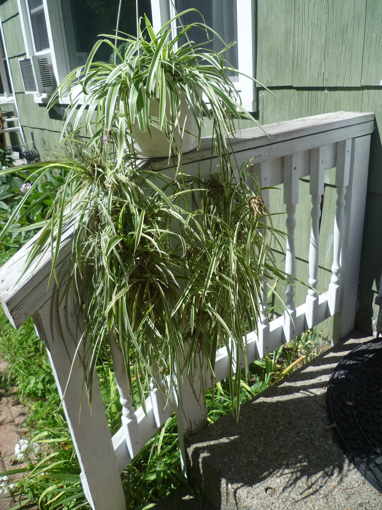 SECONDINSIGHT Plant Retreat