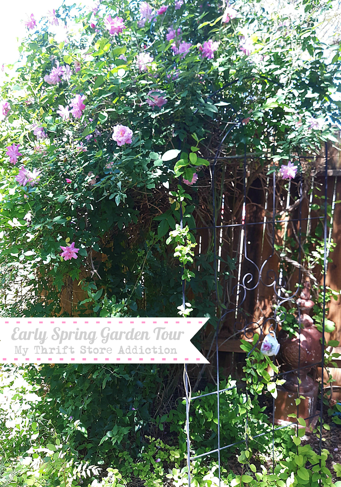 spring garden tour 