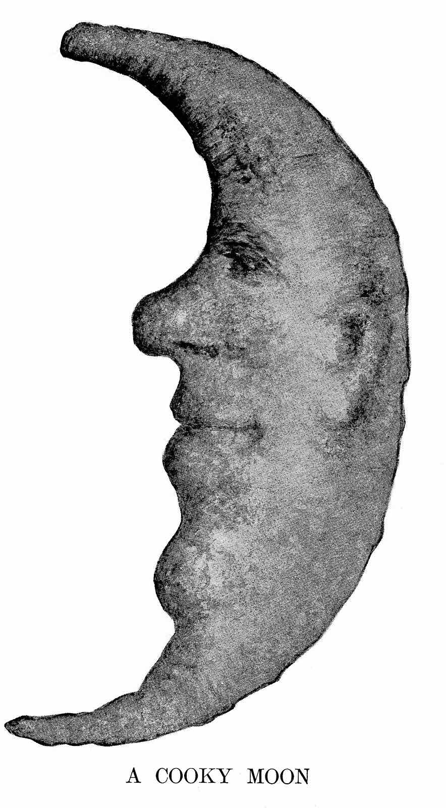 1906 baked cookie moon a photpgraph of a 1906 baked cookie moon face