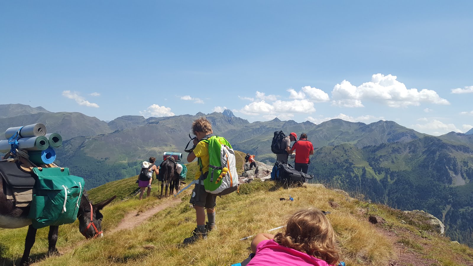 #PYRÉNÉES #BÉARNAISES