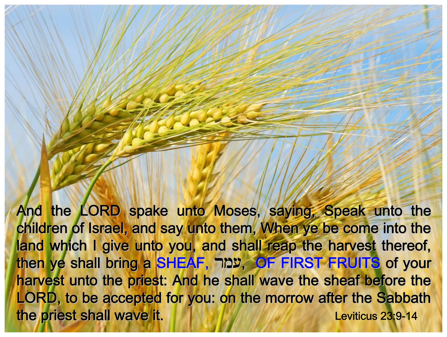 Appointed times 2019 Feast of First Fruits (Part Seven)