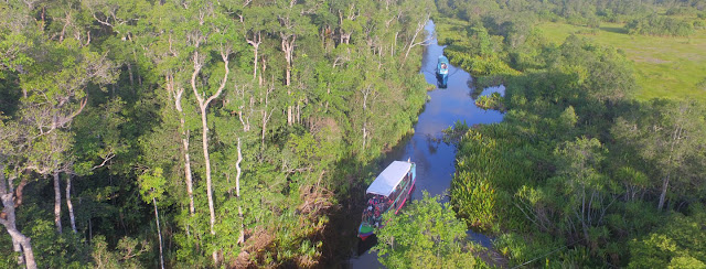 Perjalanan menaiki kelotok di sungai sekonyer Perjalanan menaiki kelotok di sungai sekonyer