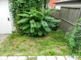New Leslieville garden renovation design before by Paul Jung Gardening Services Toronto