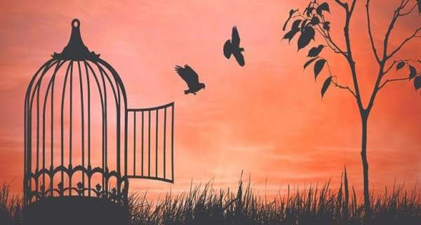 Ozgurluk Kompozisyon Ornekleri