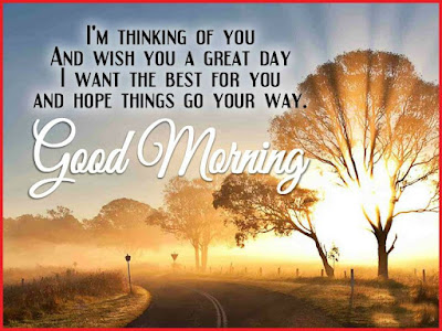 good morning good morning