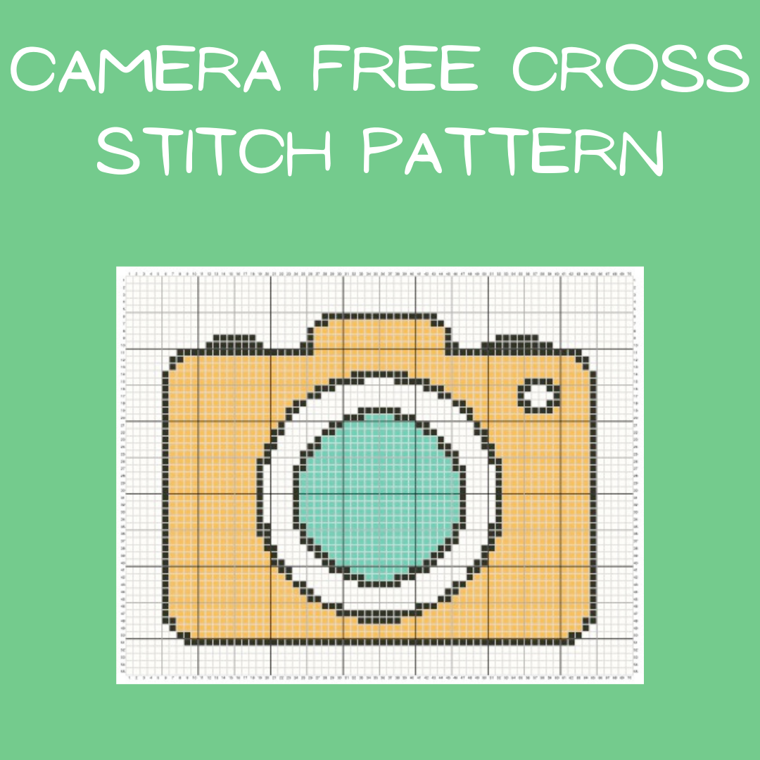 Camera free cross stitch pattern Keeping it Real