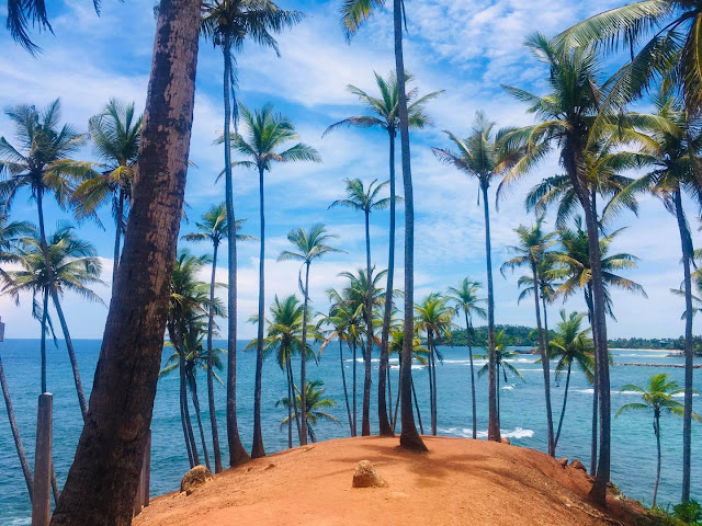 සුන්දර පොල්ගස් කන්ද හෙවත් පොල් රුප්පා කන්ද 🌴🌴🌊 (Coconut Tree Hill) - Your Choice Way