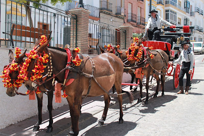Coche de caballos en C/Victoria con motivo de un enlace matrimonial en Olvera (Cadiz)