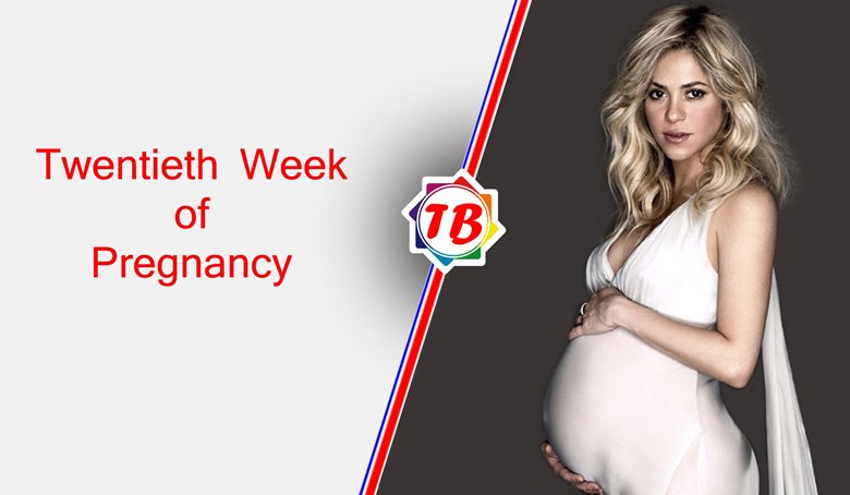 Twentieth Week of Pregnancy