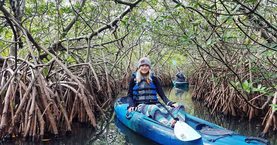 MANGROVE TUNNEL VIDEO!