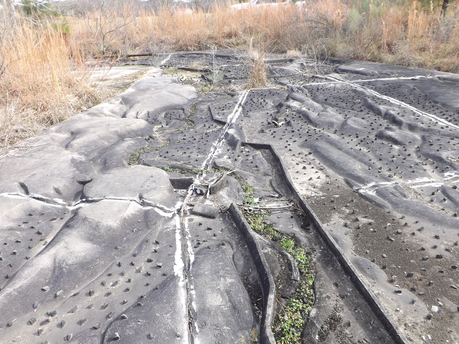 Urban Exploration: Mississippi River Basin model