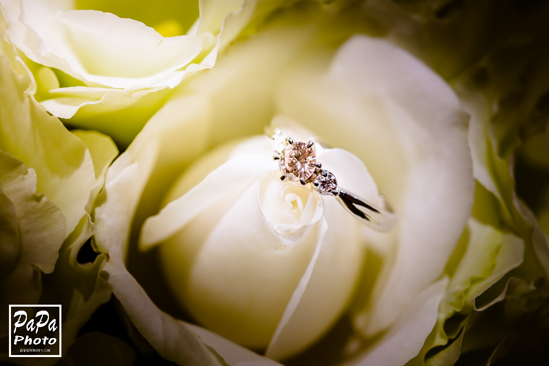 PAPA-PHOTO,婚攝,婚宴,晶華酒店婚攝,類婚紗,台北晶華酒店