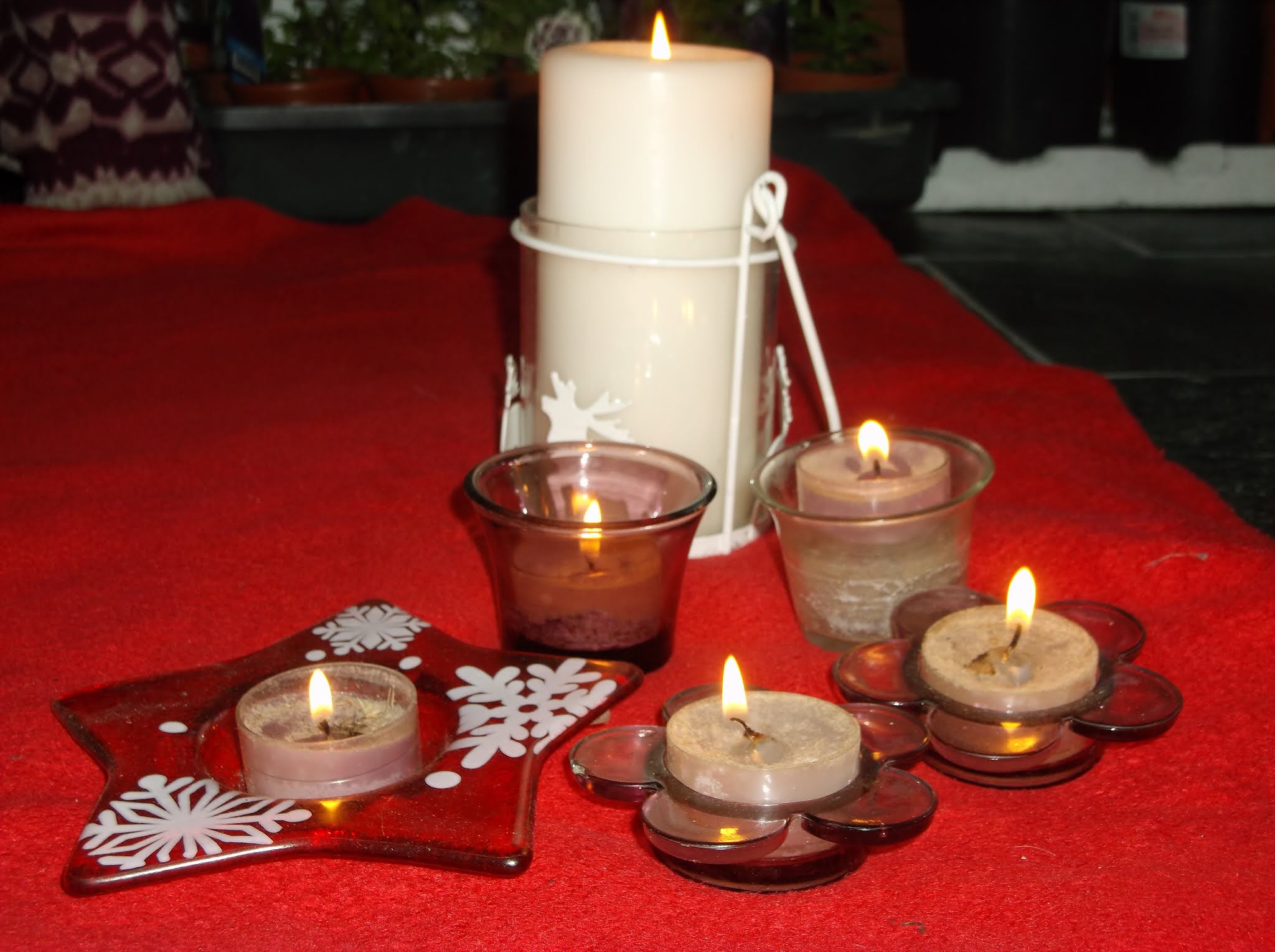 Undercover Guinea Pigs Candle Lighting Memorial 2021