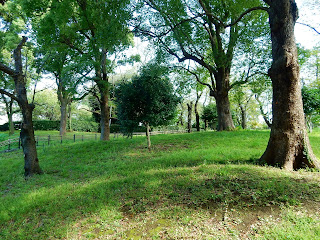 飛鳥山公園