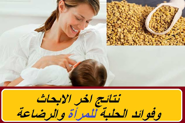 "فوائد الحلبة للمرأة المتزوجة" "فوائد الحلبة للمرأة الحائض"" "فوائد الحلبة للنساء للتسمين" "فوائد الحلبة للرحم" "فوائد الحلبة للمراة التي تريد الحمل" "فوائد الحلبة للنساء لتكبير المؤخرة" "فوائد الحلبة للنساء الحوامل" "الحلبة والمرأة وفوائد الحلبة للمرأة" "فوائد الحلبة للمرأة" "فوائد الحلبة للمرأة المتزوجة" "فوائد الحلبة للمرأة الحائض" "فوائد الحلبة للمرأة المرضعة" "فوائد الحلبة للمراة الحامل" "فوائد الحلبة للمرأة في سن اليأس" "فوائد الحلبة للمرأة النفساء" "فوائد الحلبة للمراة الحامل في الشهر التاسع" "فوائد الحلبة للمرأة ا" "فوائد الحلبة للسيدات" "فوائد الحلبه المره" "فوائد الحلبة للاناث" "فوائد شرب الحلبه للنساء" "فوائد الحلبة المرة" "فوائد الحلبة للبنات" "فوائد الحلبة للمراة التي تريد الحمل" "فوائد الحلبه للمرضع" "فوائد الحلبة للرضاعة" "فوائد الحلبة للمرضعات" "اضرار الحلبة للمراة الحامل" "منافع الحلبة للمرأة الحامل" "فائدة الحلبة للمراة الحامل" "فوائد زيت الحلبة للمراة الحامل" "فوائد الحلبة بالنسبة للمرأة الحامل" "ما فائدة الحلبة للمراة الحامل" "فوائد الحلبه في الحمل" "فواءد الحلبه للحامل" "فوائد الحلبه للحامل" "فوائد الحلبة الحصى للحامل" "فوائد الحلبة المطحونة للحامل" "الحلبة والحمل" "ما فوائد الحلبه للحامل" "فوائد الحلبة للحامل" "فوائد الحلبة للمرأة المتزوجة" "فوائد الحلبة للمرأة الحائض"" "فوائد الحلبة للنساء للتسمين" "فوائد الحلبة للرحم" "فوائد الحلبة للمراة التي تريد الحمل" "فوائد الحلبة للنساء لتكبير المؤخرة" "فوائد الحلبة للنساء الحوامل" "الحلبة والمرأة وفوائد الحلبة للمرأة" "فوائد الحلبة للمرأة" "فوائد الحلبة للمرأة المتزوجة" "فوائد الحلبة للمرأة الحائض" "فوائد الحلبة للمرأة المرضعة" "فوائد الحلبة للمراة الحامل" "فوائد الحلبة للمرأة في سن اليأس" "فوائد الحلبة للمرأة النفساء" "فوائد الحلبة للمراة الحامل في الشهر التاسع" "فوائد الحلبة للمرأة ا" "فوائد الحلبة للسيدات" "فوائد الحلبه المره" "فوائد الحلبة للاناث" "فوائد شرب الحلبه للنساء" "فوائد الحلبة المرة" "فوائد الحلبة للبنات" "فوائد الحلبة للمراة التي تريد الحمل" "فوائد الحلبه للمرضع" "فوائد الحلبة للرضاعة" "فوائد الحلبة للمرضعات" "اضرار الحلبة للمراة الحامل" "منافع الحلبة للمرأة الحامل" "فائدة الحلبة للمراة الحامل" "فوائد زيت الحلبة للمراة الحامل" "فوائد الحلبة بالنسبة للمرأة الحامل" "ما فائدة الحلبة للمراة الحامل" "فوائد الحلبه في الحمل" "فواءد الحلبه للحامل" "فوائد الحلبه للحامل" "فوائد الحلبة الحصى للحامل" "فوائد الحلبة المطحونة للحامل" "الحلبة والحمل" "ما فوائد الحلبه للحامل" "فوائد الحلبة للحامل"