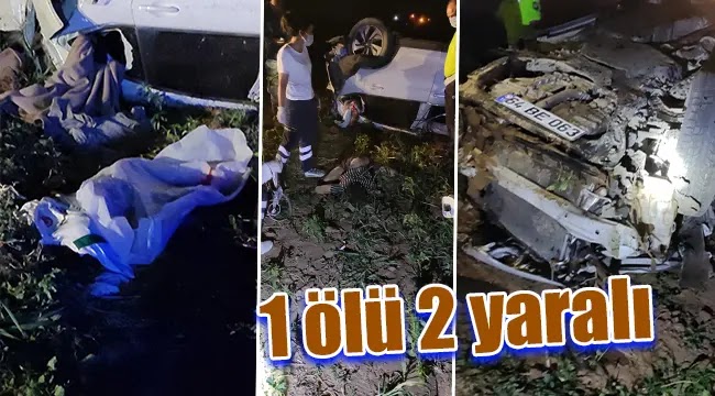 Suruç yakınlarında feci kaza: 1 ölü, 2 yaralı