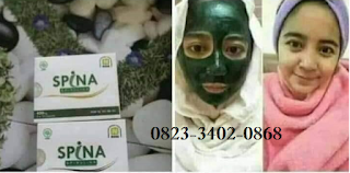 JUAL MASKER SPIRULINA NASA DI LAMONGAN 082334020868 JUAL MASKER SPIRULINA NASA DI LAMONGAN 082334020868