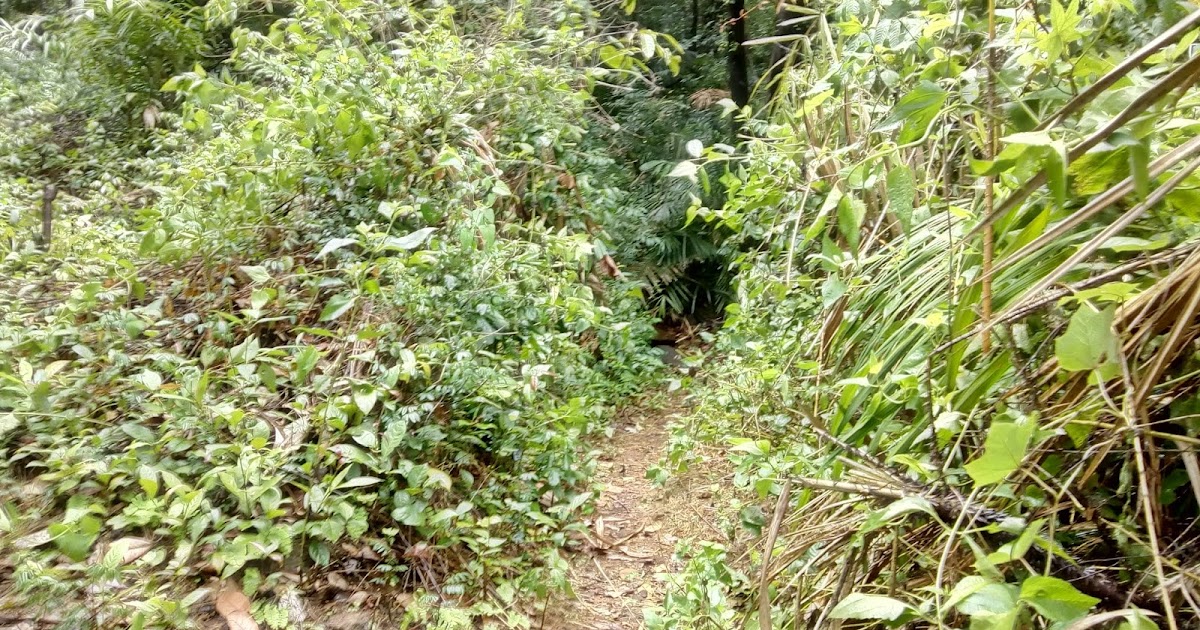 Homes Without Doors!