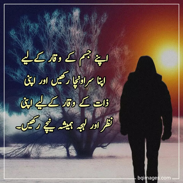 beautiful quotes in urdu with pictures