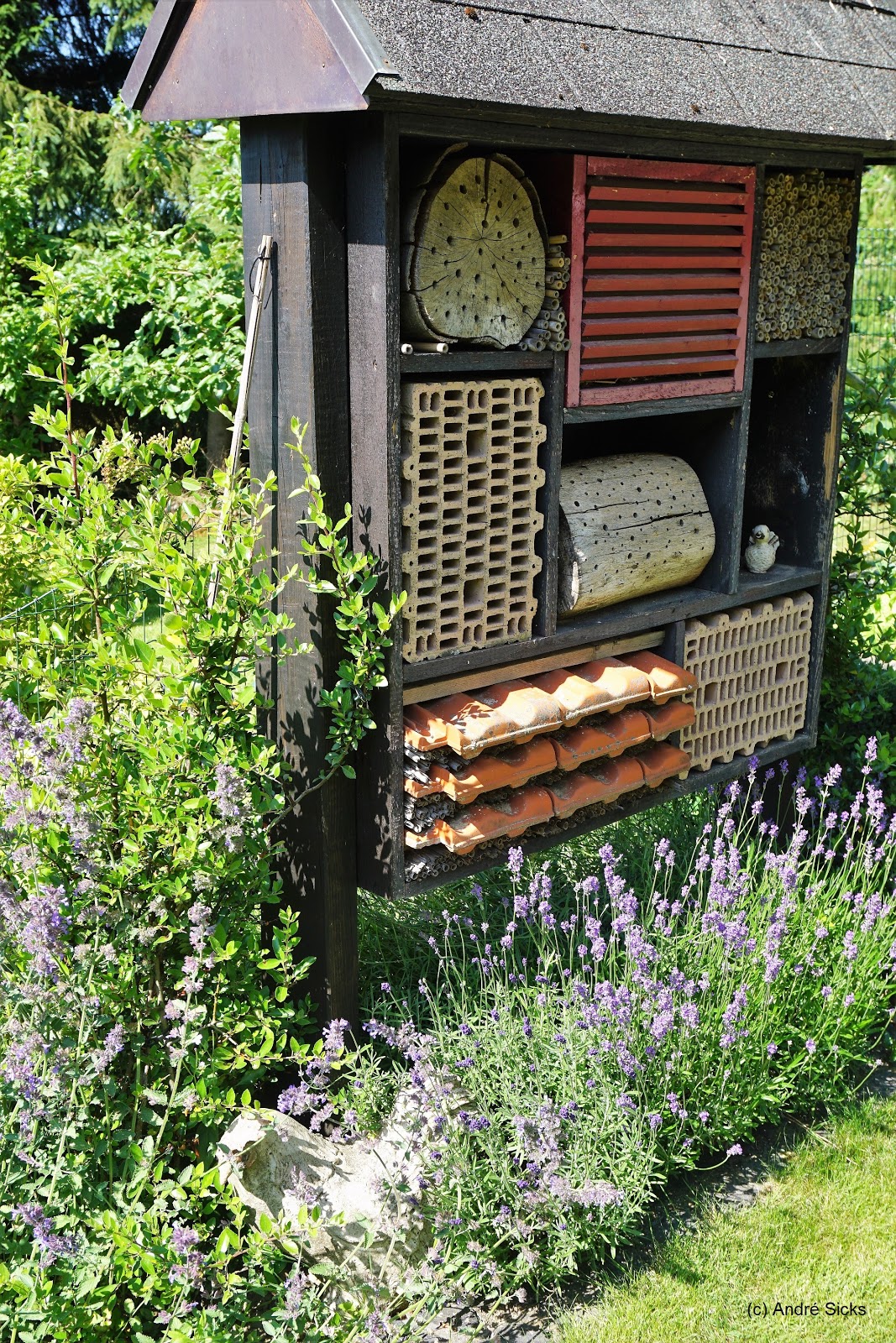 CityAnzeiger Welcher naturnahe Garten ist der Schönste