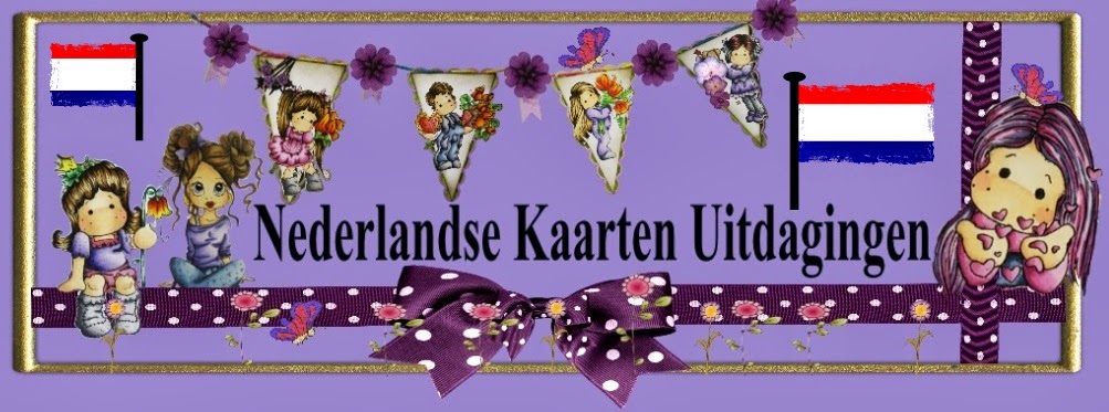 NEDERLANDSE          KAARTEN UITDAGING