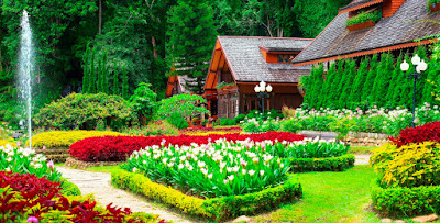 تفسير حلم رؤية حديقة المنزل أو حديقة ورود أو البستان الاخضر في المنام