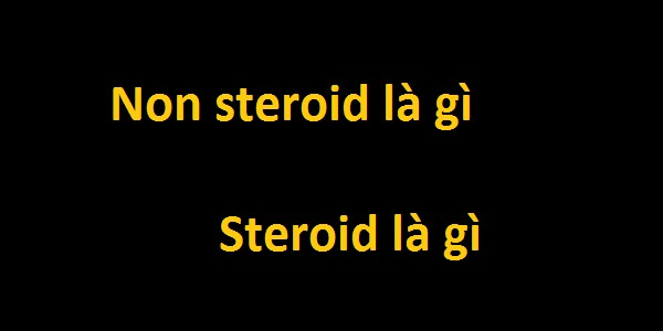 Non steroid là gì? Steroid là gì?